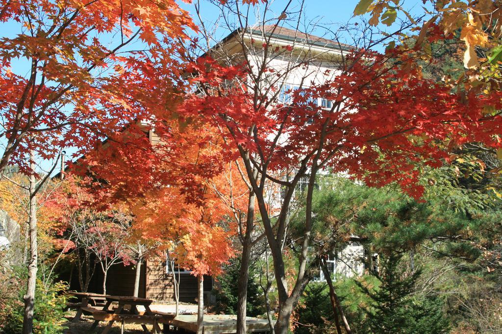 Mir Pension Gapyeong Exterior photo